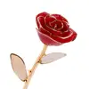 Romantic Gift for Wife, Dipped in 24k Gold Real Petal Forever Preserved Long Stem Rose with Golden Leaf