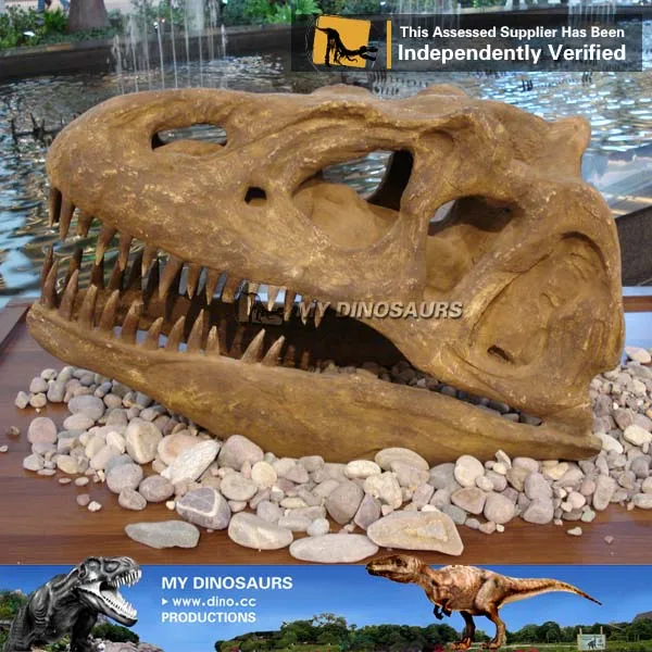 life size dinosaur skull replicas for sale