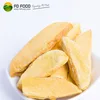 FD mango wholesaler freeze dried fruit juice powder