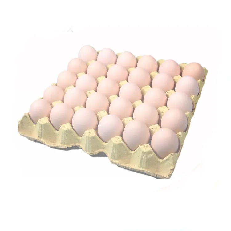 мем с трансформерами и болезнями. яичные волокна мем. куриные яйца для презентации. пост ирония мемы. казеиновое волокно.