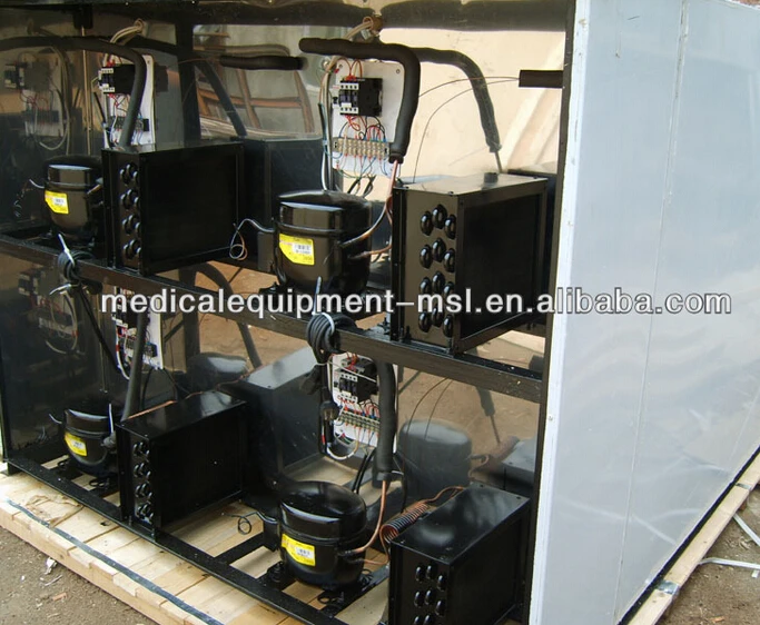 mslmr06-03