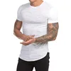 New design Cheap plain t shirts for men / wholesale athletic mens gym shirt with wholesale price H-2508
