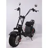 Hot sale good quality electric scooter 1600v 48v foldable EVO electric Scooter with CE