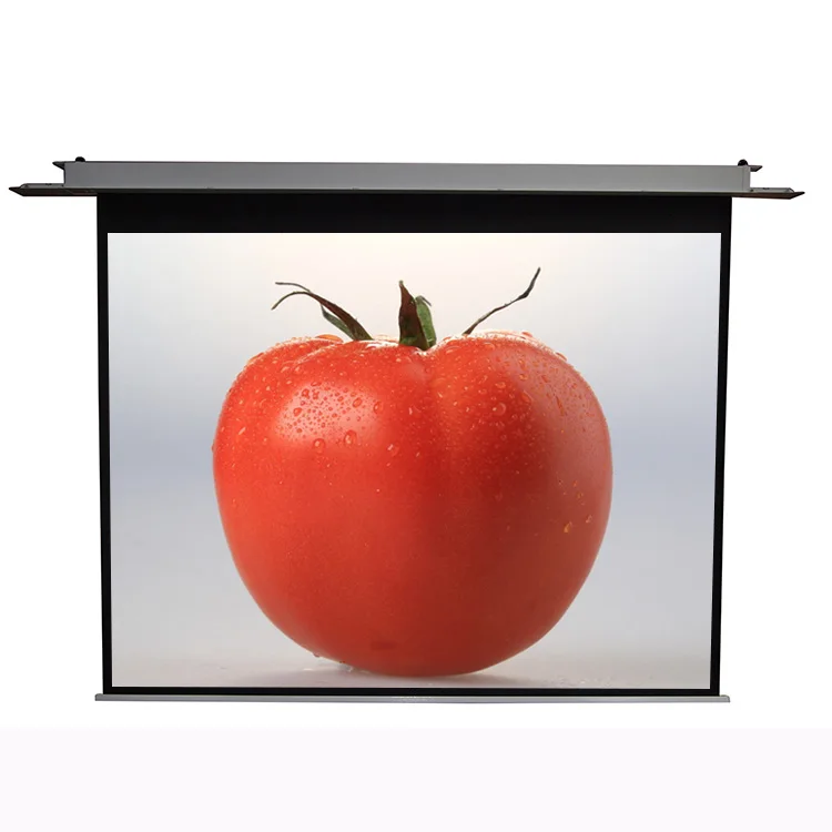 Different Size Matte White Hidden In Ceiling Projection Screen