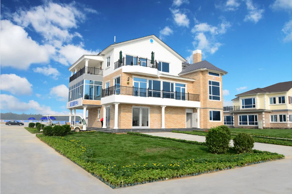 Prefab Light Gauge Steel Structure Villas,Steel Framed Homes For Sale