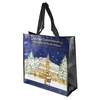Promotional Pretty Price PP Laminated Non Woven Tote Bag