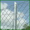 chain link fence galvanized and twist,more security