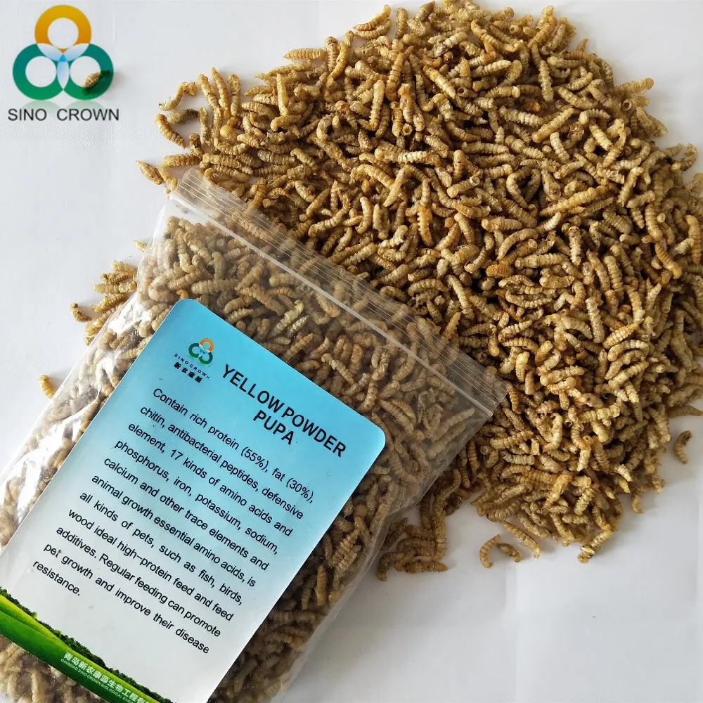 促进健康功效 mealworm 蛹水族食品添加剂