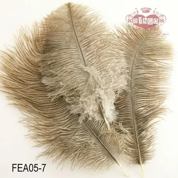 dyed ostrich plumes feather