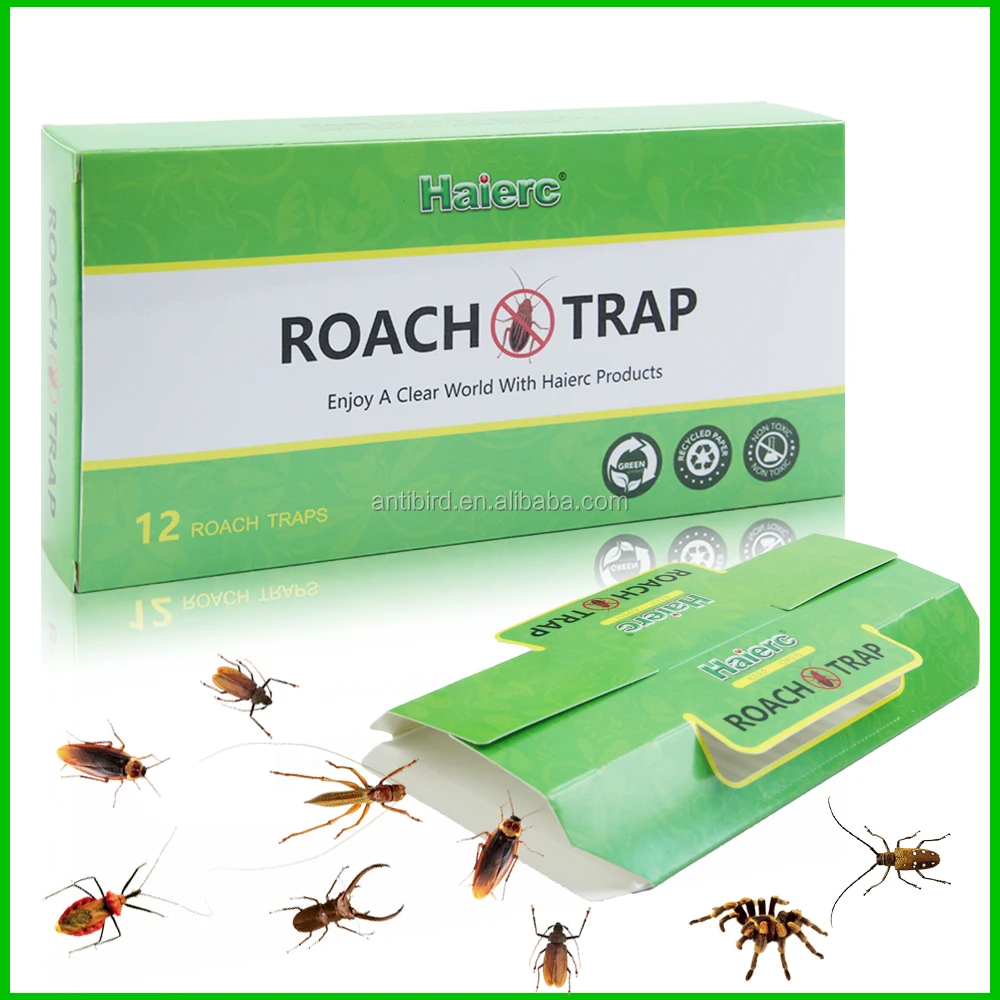 haierc cockroach traps with bait included,roach glue traps