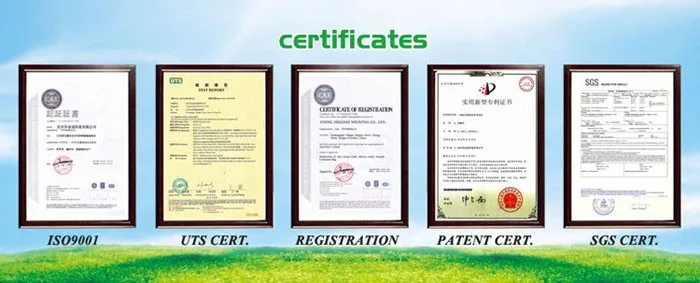 certificate.jpg