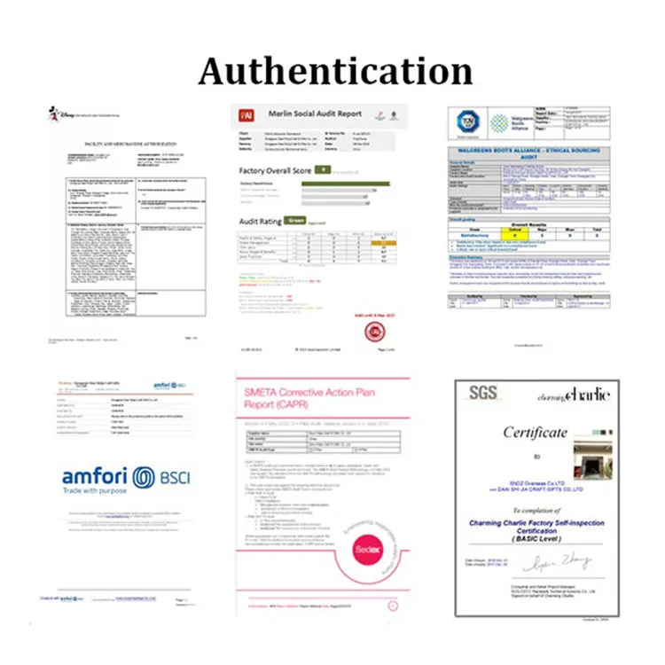 Authentication