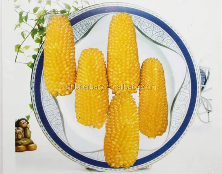 High Germination Red Sweet Corn Seed For Sowing Buy Vegetable Seed Suppliers Vegetable Seed Suppliers Hybrid Corn Seed Product On Alibaba Com