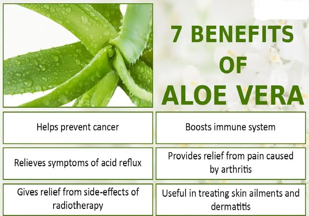 Aloe Oil Suitable For Kinds Skin\aloe Vera Base Oils Keep Skin Wet And Skin Whitening Buy Aloe