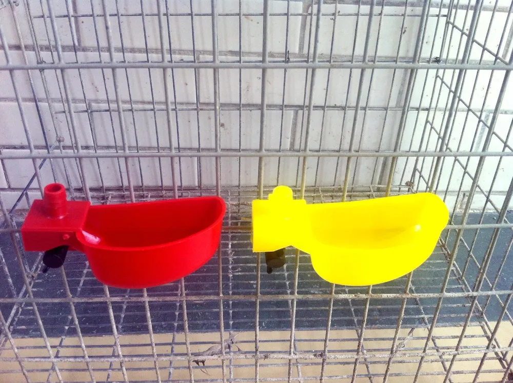 Quail Drinkers Plastic Quail Automatic Drinker Bird Quail Drinking