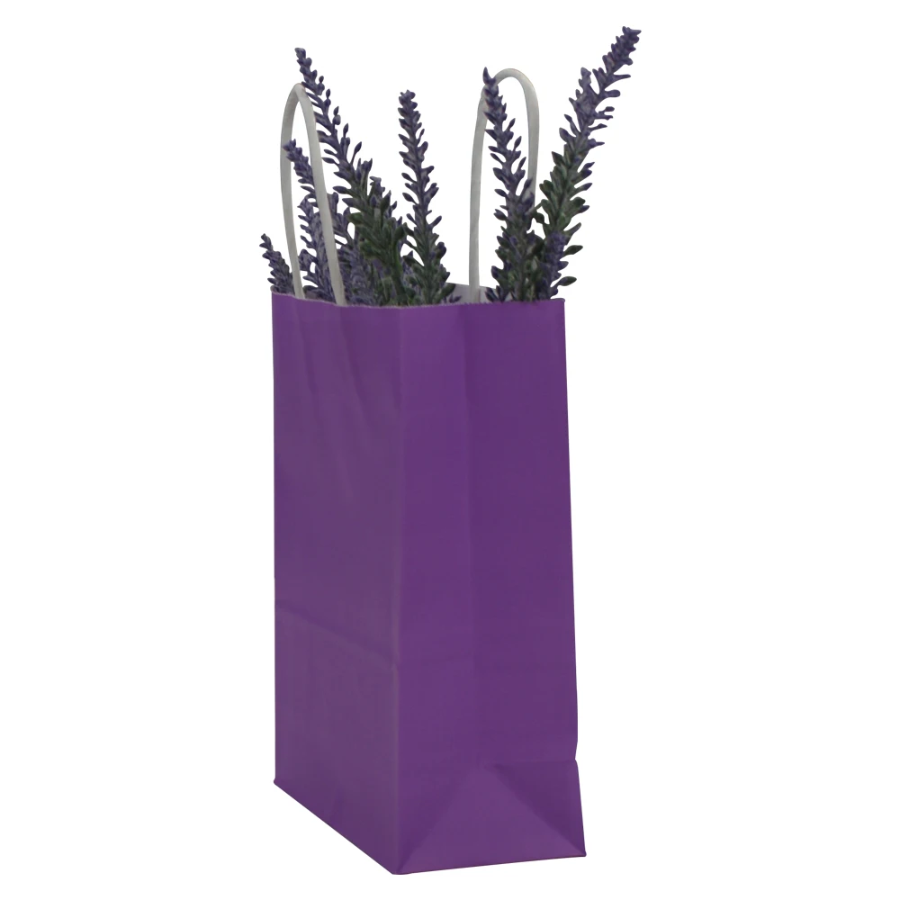 Jialan gift paper bags supplier for packing gifts-10