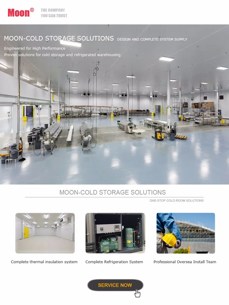 Cold Room Condenser Unit Cold Storage Evaporator and Condenser Commercial Refrigeration Unit