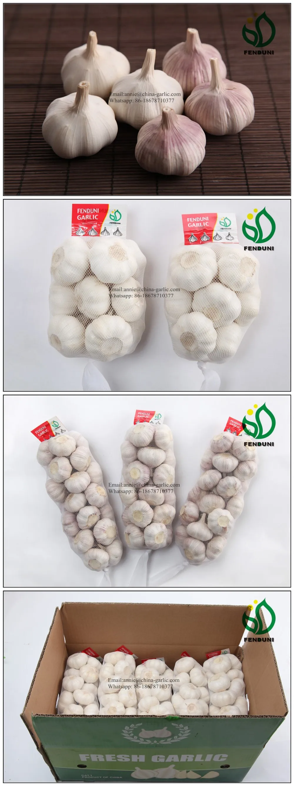 Garlic Supplier/ Garlic Exporter/ Garlic Distributor In China Buy Garlic Supplier,Garlic
