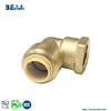BWVA NSF approved quick-install pvc fitting