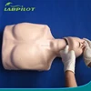 NEW Simple Type Bust CPR Half-body CPR Training Manikin
