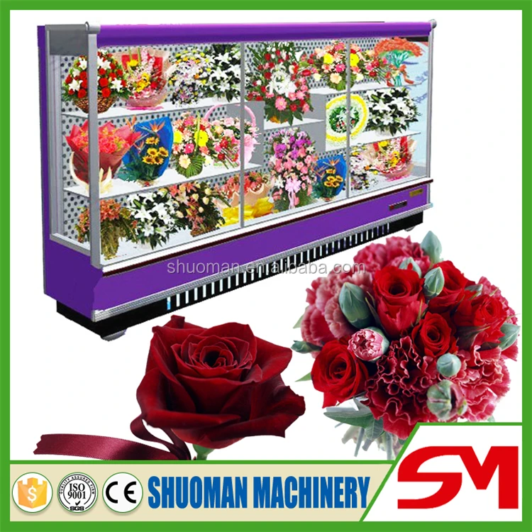 Quick And Good Refrigeration Effect Refrigerators For Flowers Buy