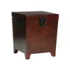 Pyramid Espresso modern hidden treasures coffee table trunk end table