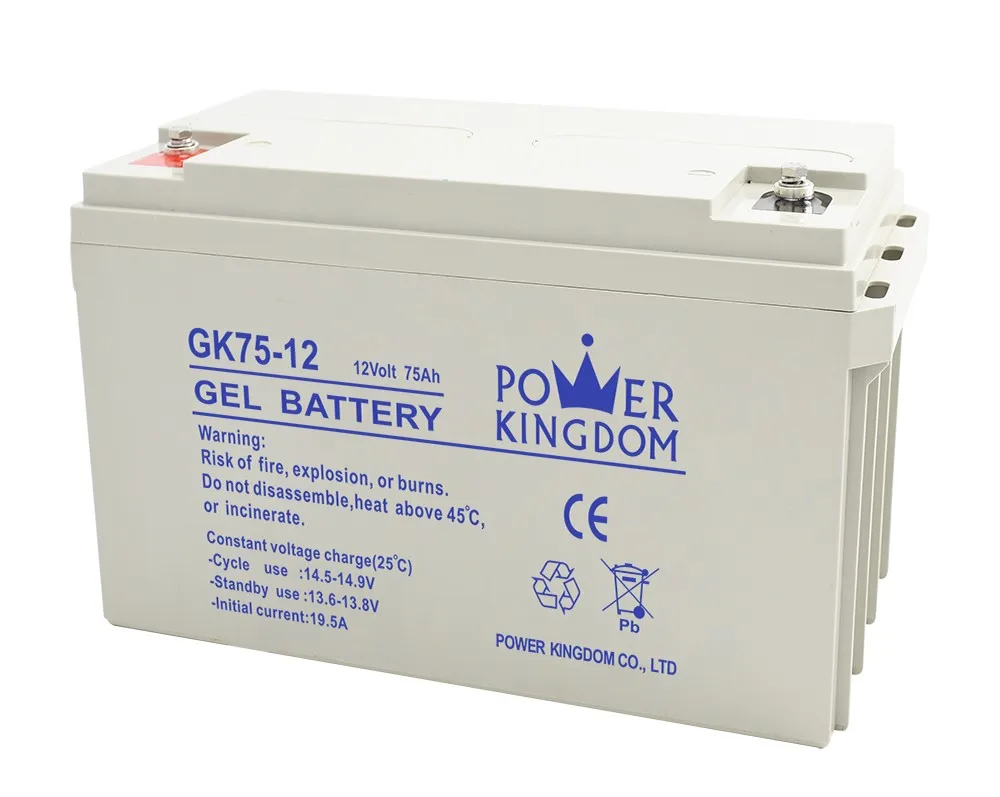 Power Kingdom 24v sla battery charger with good price medical equipment