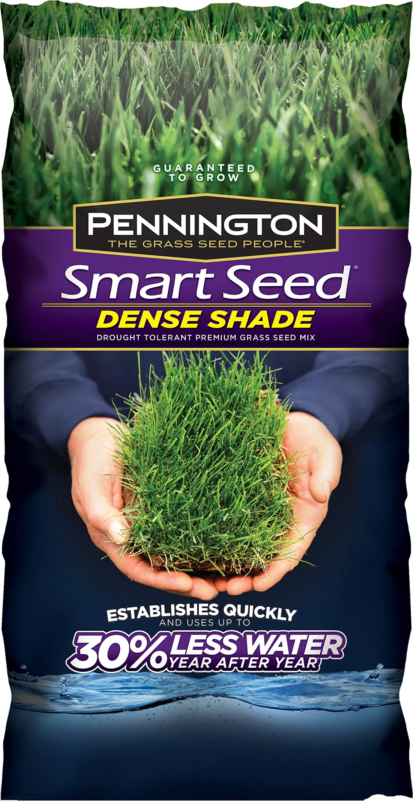 cheapest way to buy grass seed
