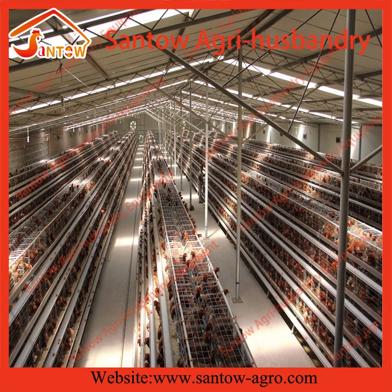 Automatic chicken cages hot galvanized poultry cage cheap price battery cage design for Uganda Nigeria Kenya Africa Philippines