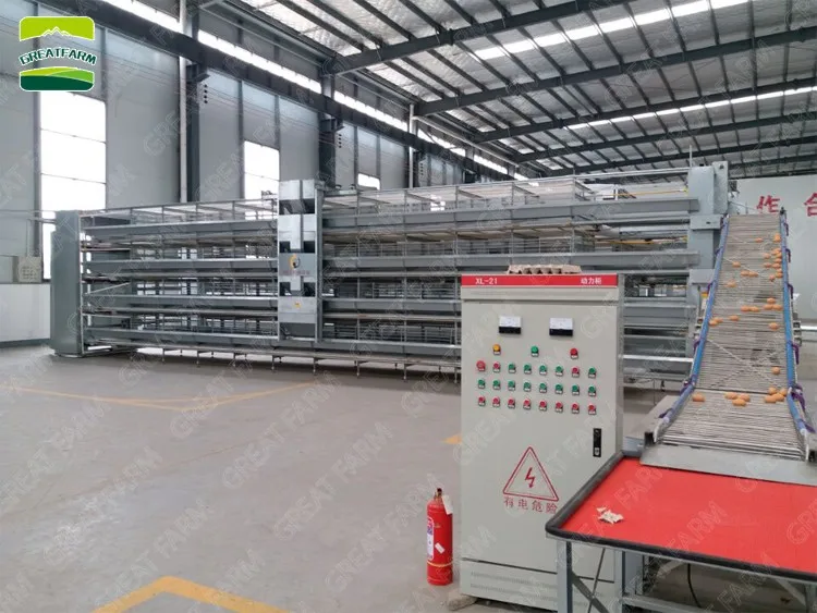 2019 Cheap H type professional layer cage chicken poultry cage with automatic drinking system for farms