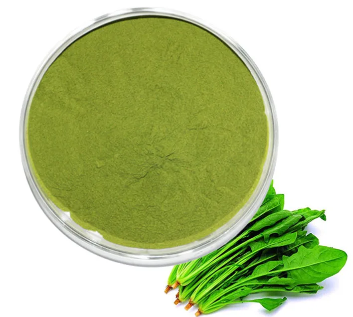 Organic Spinach Juice Powder - Buy Spinach Powder,Spinach Juice Powder ...