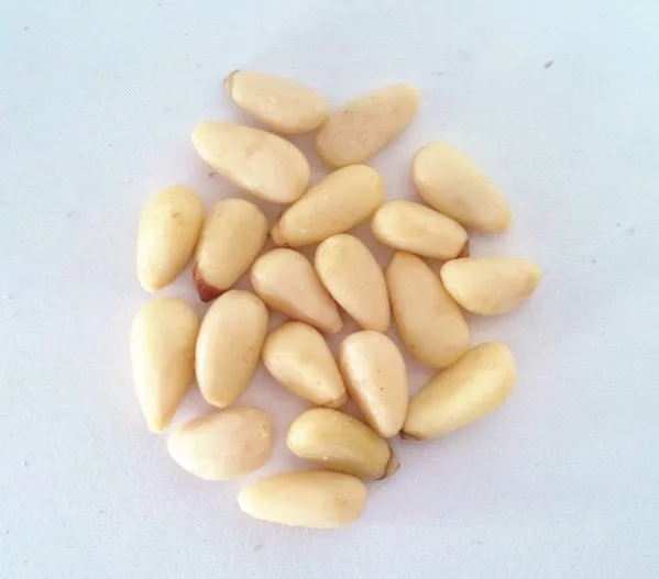 New China Products For Sale Pine Seeds Buy Pine Seeds,White Pine Nut