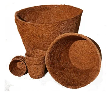 Biodegradable Coconut Bonsai Seed Growing Kit Coir Fiber ...