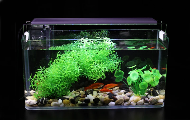 50l fish tank