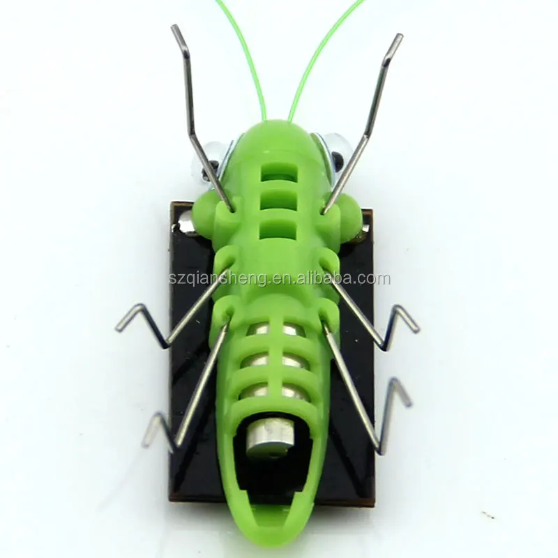 plastic grasshopper toys