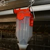 automated pig feeding system pig feeder system