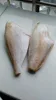 frozen leather jacket fish