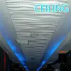 Feature 3d decorative wall panels for interiors wall and ceiling decoration