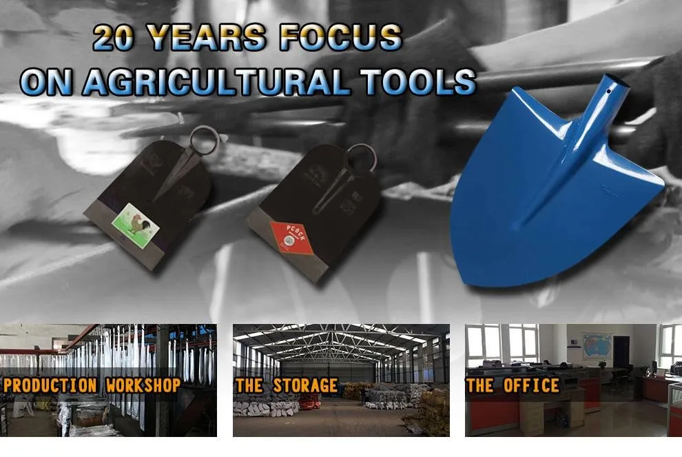 HTB1SsaJKVXXXXbsXXXXq6xXFXXXU