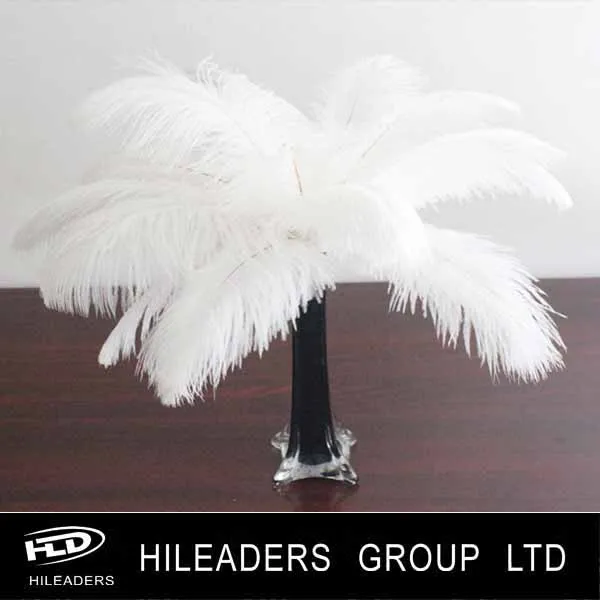 ostrich feathers (7).jpg