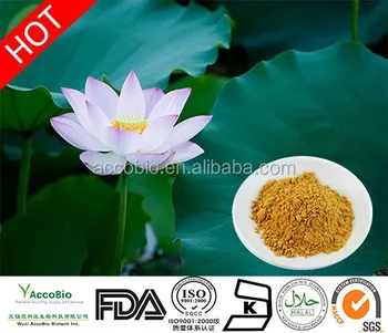 Sacred lotus weight loss