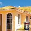 Outdoor powder outdoor exterior texture brick paint coating