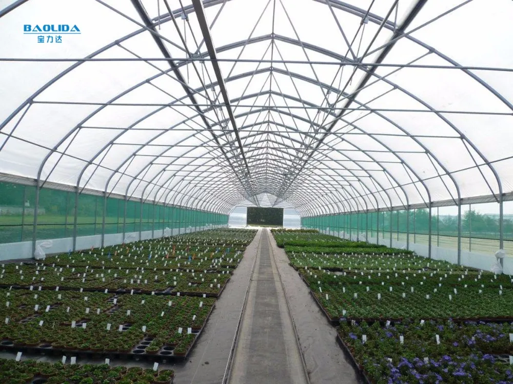 tunnel greenhouse for flower farming