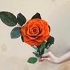 Wholesale real stabilized roses flower preserved rose with long stem