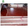 Commercial plywood / concrete template plywood laminated plywood sheet