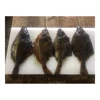 Fast Flat Fish Recipe