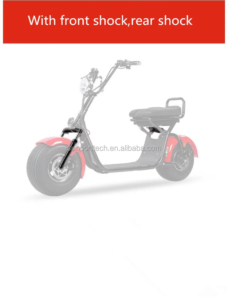 citycoco scooter_6.jpg