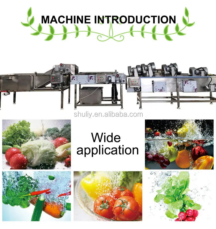 Brush Roller Washer Machine for Tomato Peach Lemon - China Fruit Vegetable Washer  Machine, Lemon Washing Machine