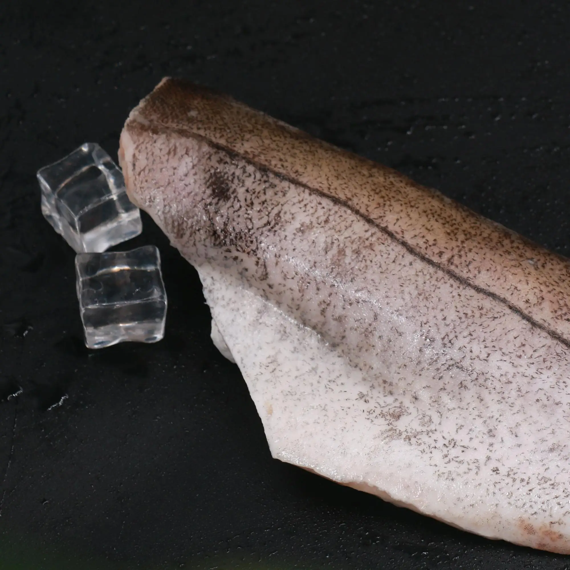 欧洲市场新款 haddock hgt 价格便宜