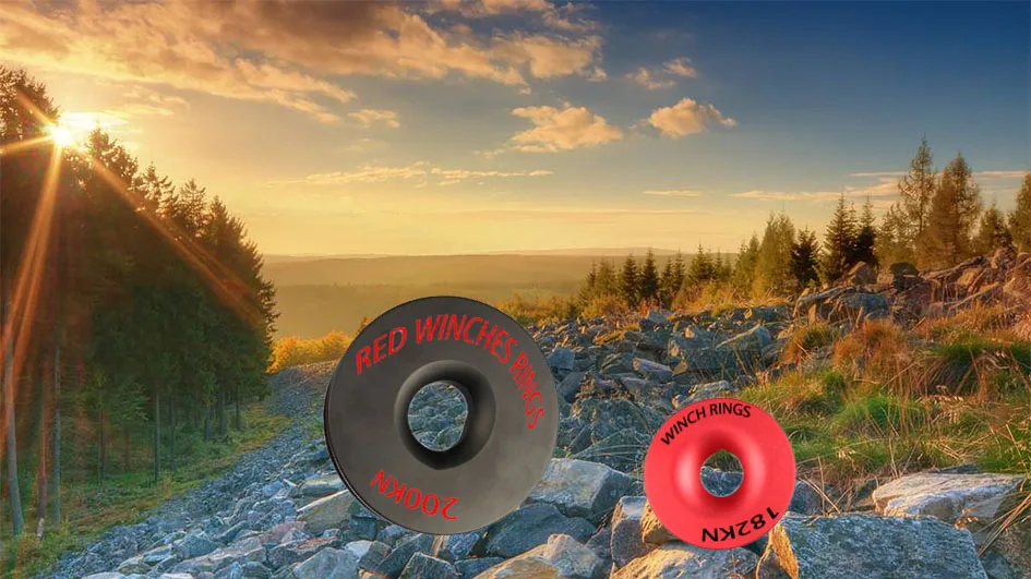 rings with sceen.jpg